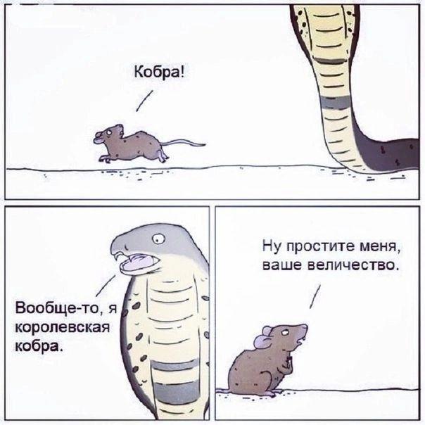 Картинки и мемы, всем хороших выходных
