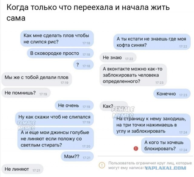Так себе картинки 15.04.23