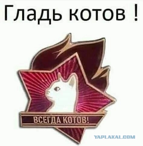 Давай дружить