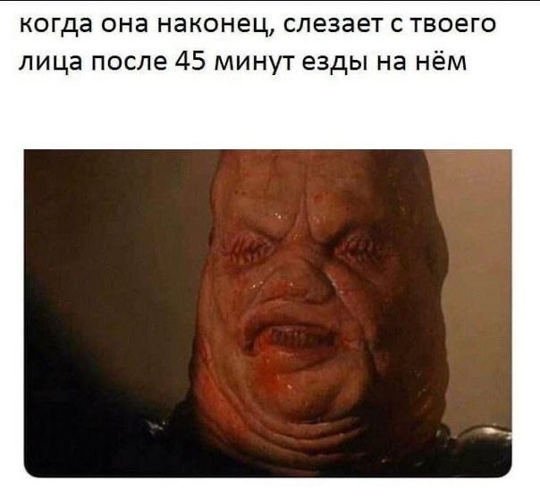 Когда не стесняешься собственной тупости