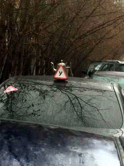 Баяны разной степени давности.