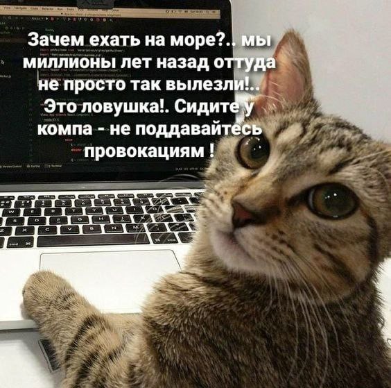 Всего понемногу. От 02.04.24