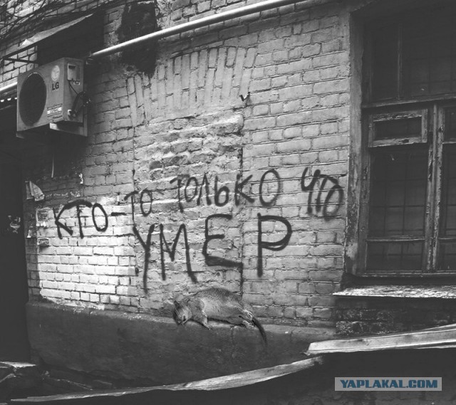 Невеселые картинки (2)