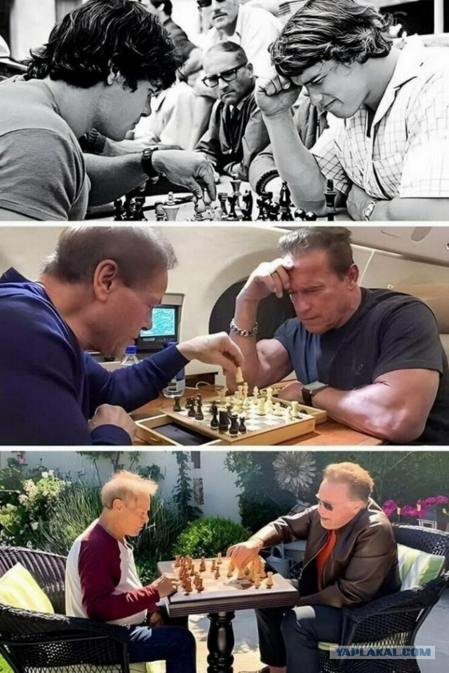 Нуштош 13.06.2024