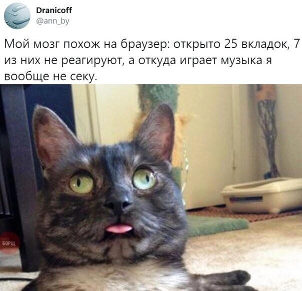 Картинки на 21 января