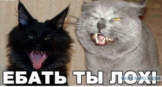 Отжал