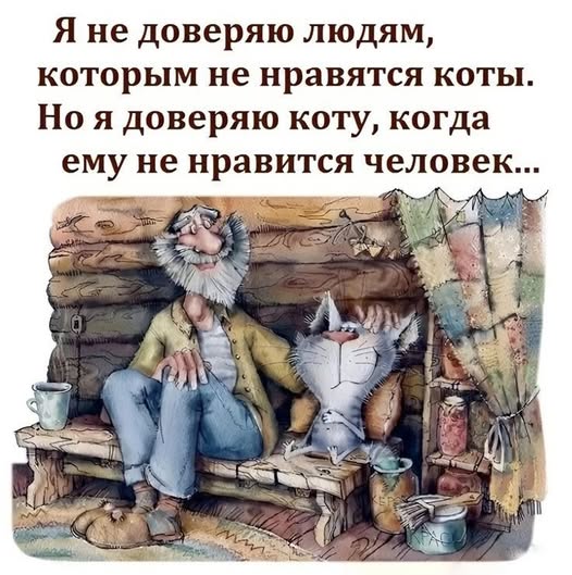К котовторнику: подборка картинок-баянов с котиками и про котиков. Выпуск 3.