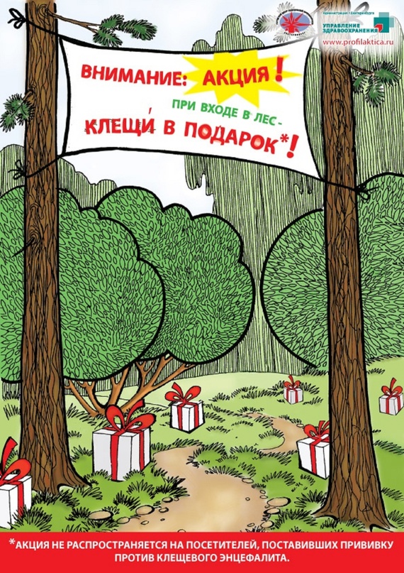 Сейчас бы поваляться на траве