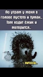 Прикольные и просто красивые картинки 11.04.2025