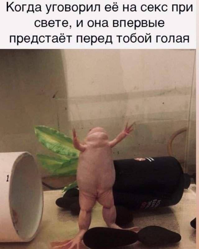 Веселое настроение в картинках 24.07.25