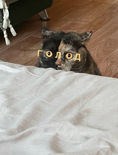 Всякая всячина