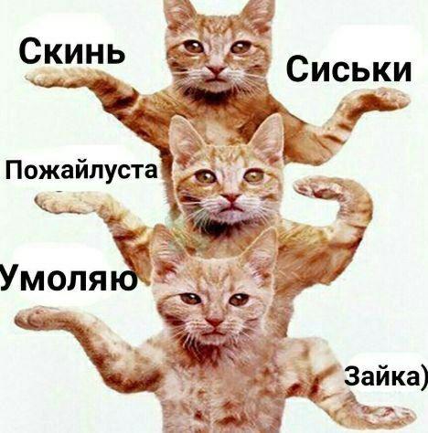 Мы следим за тобой