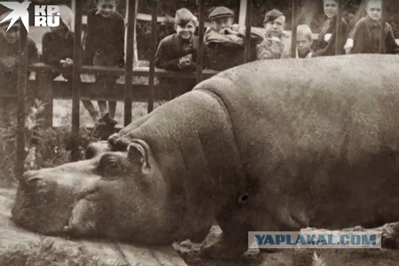 Малоизвестные фильмы про Великую Отечественную войну