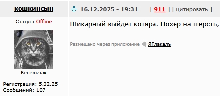 Маленького котейку выманили курицей гриль, теперь он будет жить дома