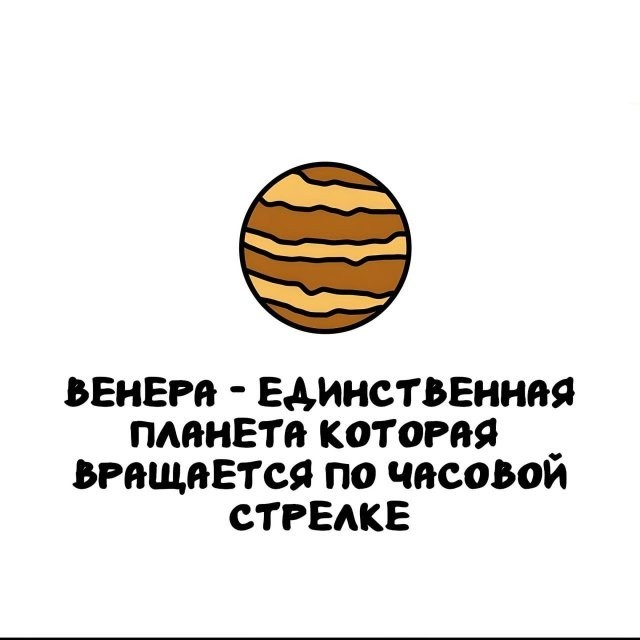 Интересные и короткие факты на все случаи жизни 05.01.26