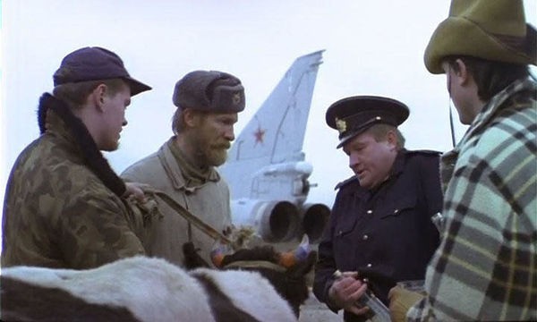 Суровый Афганский ельник