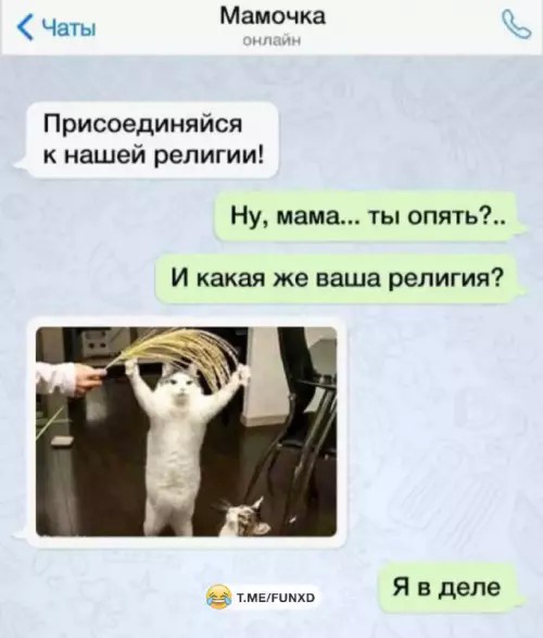 Картиночки, баянчики 13 апреля