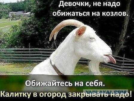 Как женщины выбирают мужчин