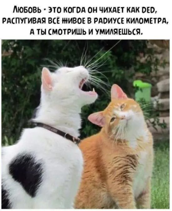 Картиночки, баянчики 18 июня