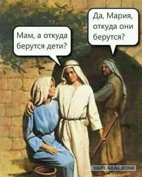 Странная штука эта генетика