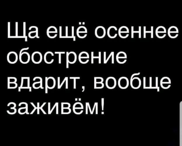 Психомемы-11