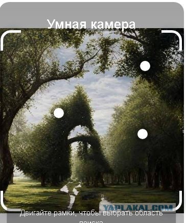 Если ты видишь дом — у тебя доминирует левое полушарие мозга. Если видишь собаку — правое