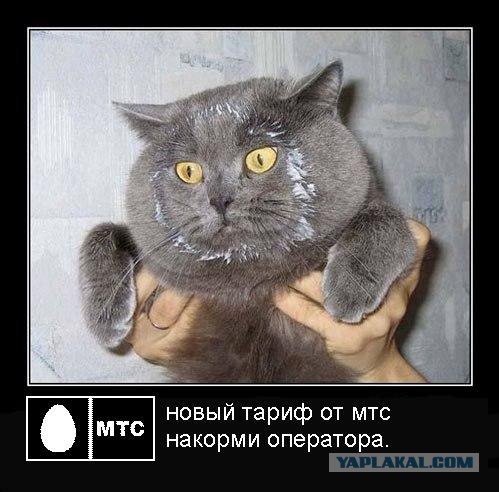 Унываторы (19 фото)