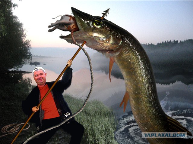 Давеча был на рыбалке...