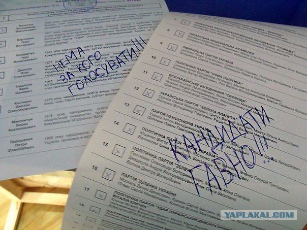 Мое голосование во Львове