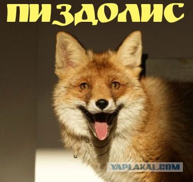 Разговор на мойке