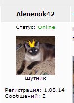 Wargaming 13