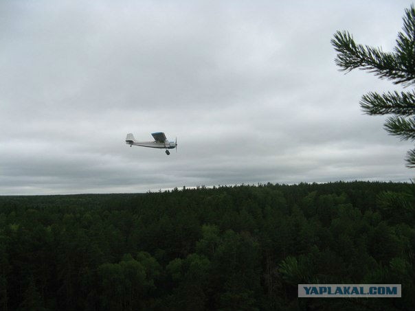 Как я отпраздновал день варенья