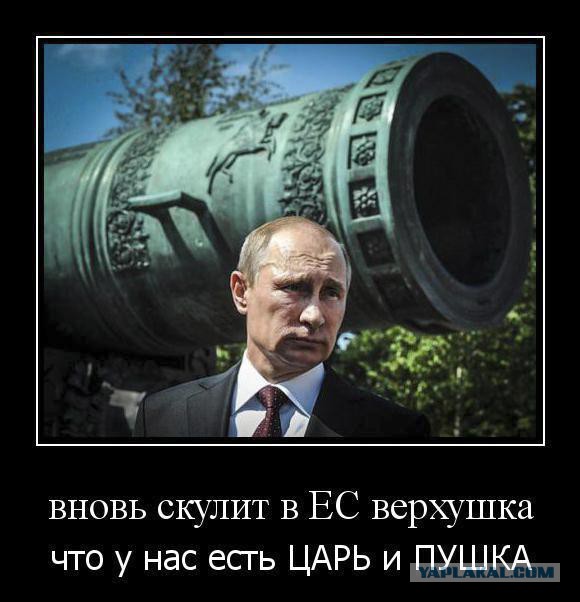 Нервозу укропов посвящается