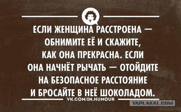 Подборка веселых картинок