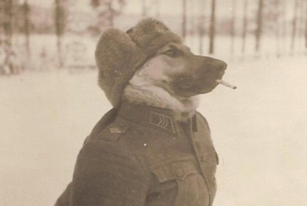 Весёлые картинки
