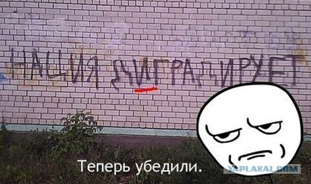 Селфи по-бразильски. 18+