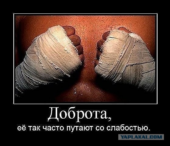 Наказание нерадивых собачников
