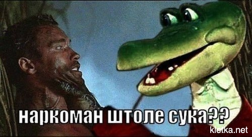 10-метровый экран вспыхнул в центре Петербурга