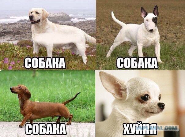 Это вообще рукотворное или природа поглумилась?