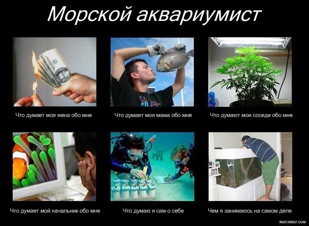 У кого какое хобби?!
