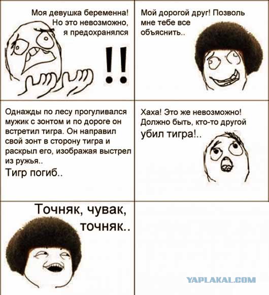 Утром из меня вышла черепаха