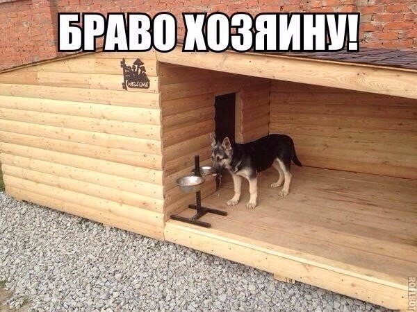 Как мы будку срукожопили.