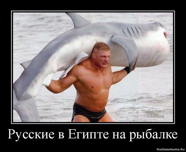 Чуть-чуть демотиваторов