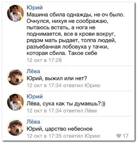 Ужасы и приколы из соцсетей 18+
