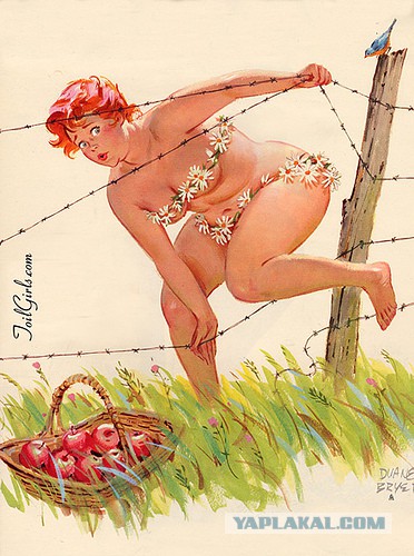 Pin-Up