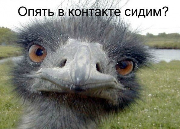 картинки на выходные