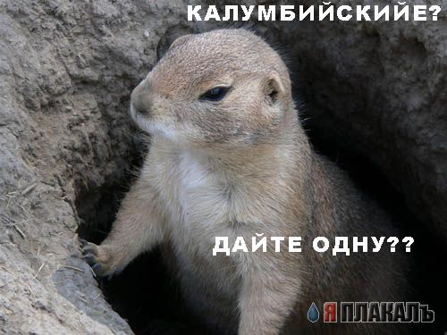 Уже да :) Ужо пятнецца...