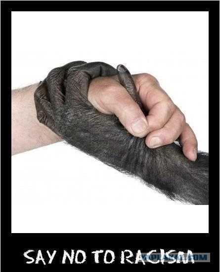 Зачем куча певиц, если можно взять только одну?