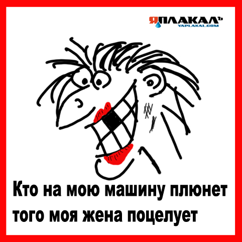 Картинки из сети (07.04.16)