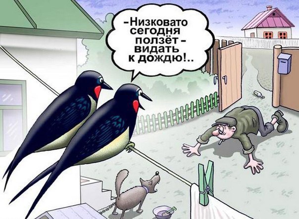 Майский черный юморок
